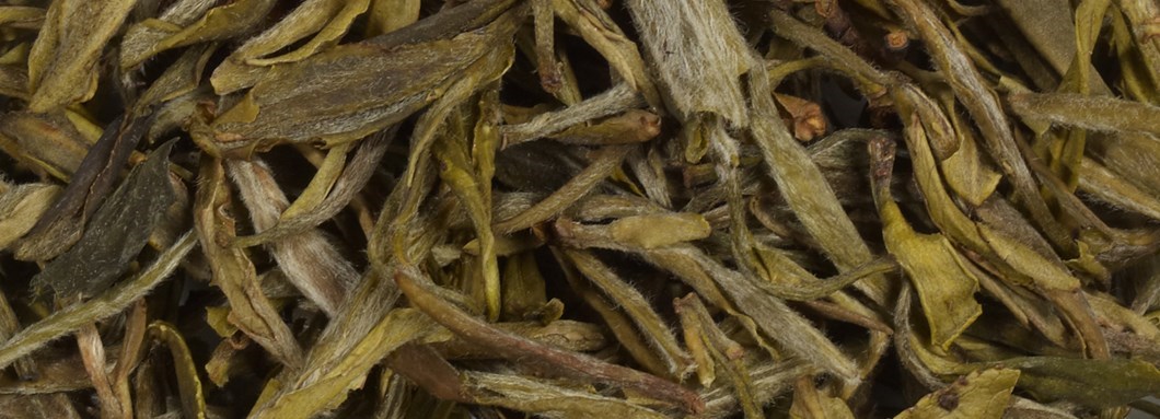 Yellow tea leaves
